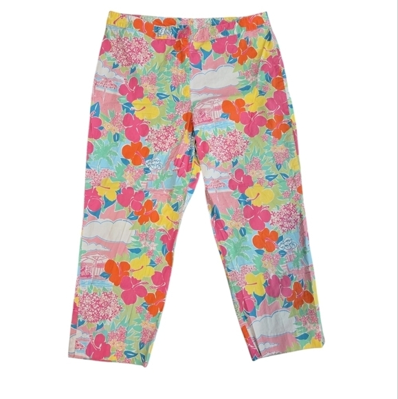 LILLY PULITZER  FLORAL & CLOUDS CROPPED PANTS. SIZE 10 PETITE. - Picture 1 of 6